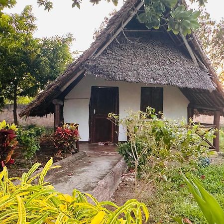 Zanzi Rest Bungalow Nungwi Kültér fotó
