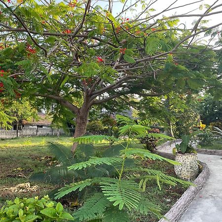 Zanzi Rest Bungalow Nungwi Kültér fotó
