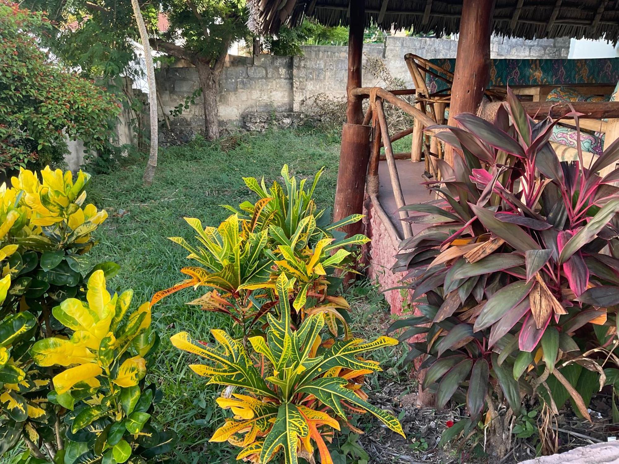 Zanzi Rest Bungalow Nungwi Kültér fotó