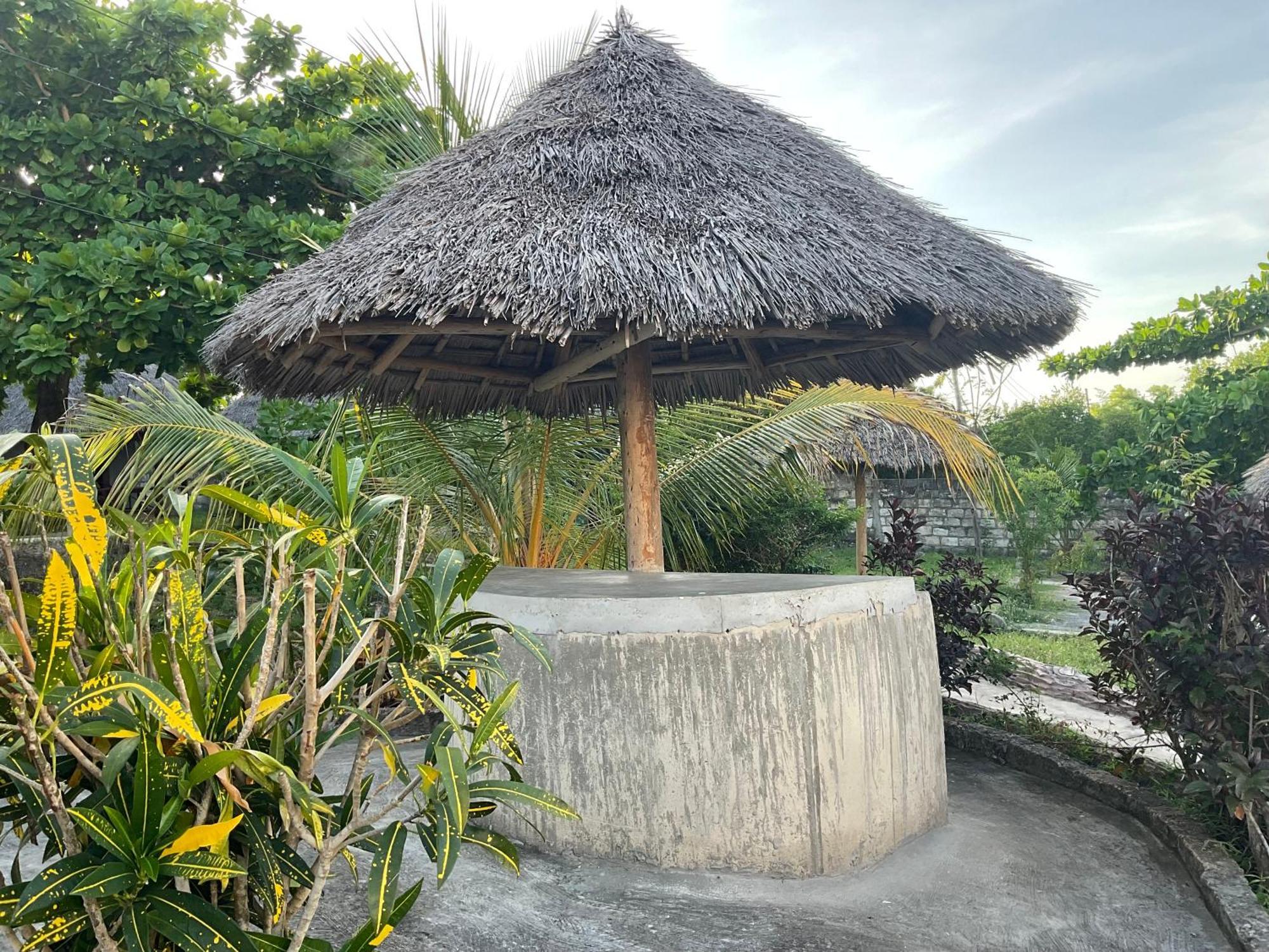 Zanzi Rest Bungalow Nungwi Kültér fotó