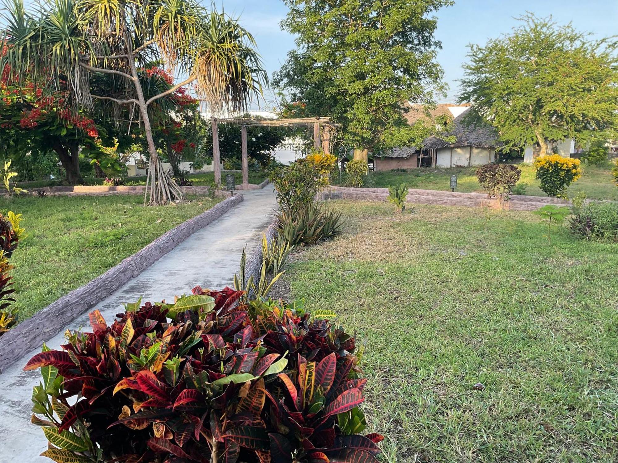 Zanzi Rest Bungalow Nungwi Kültér fotó