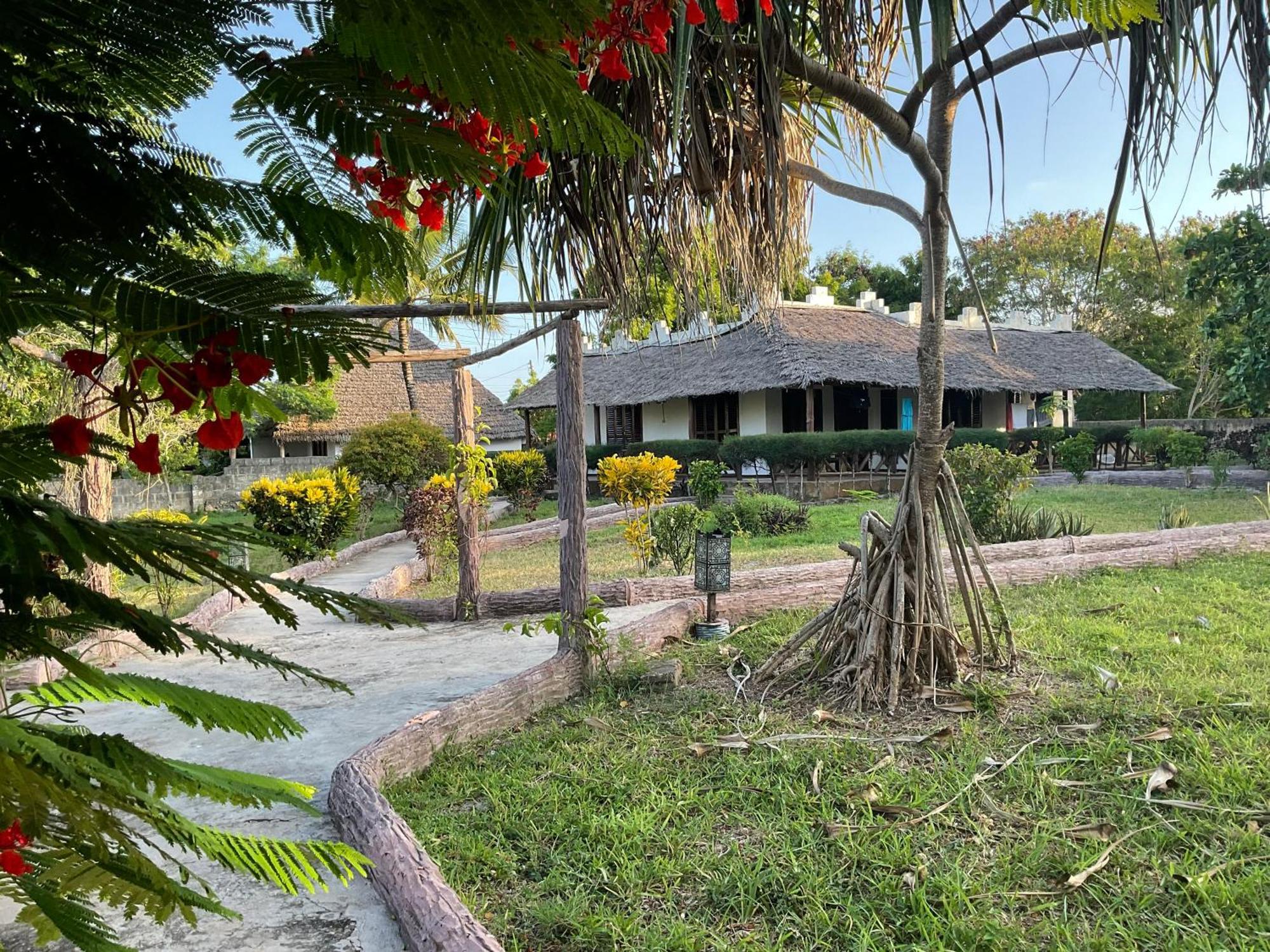 Zanzi Rest Bungalow Nungwi Kültér fotó
