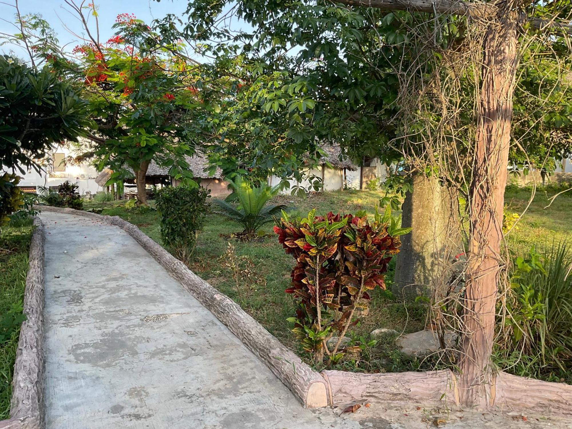 Zanzi Rest Bungalow Nungwi Kültér fotó