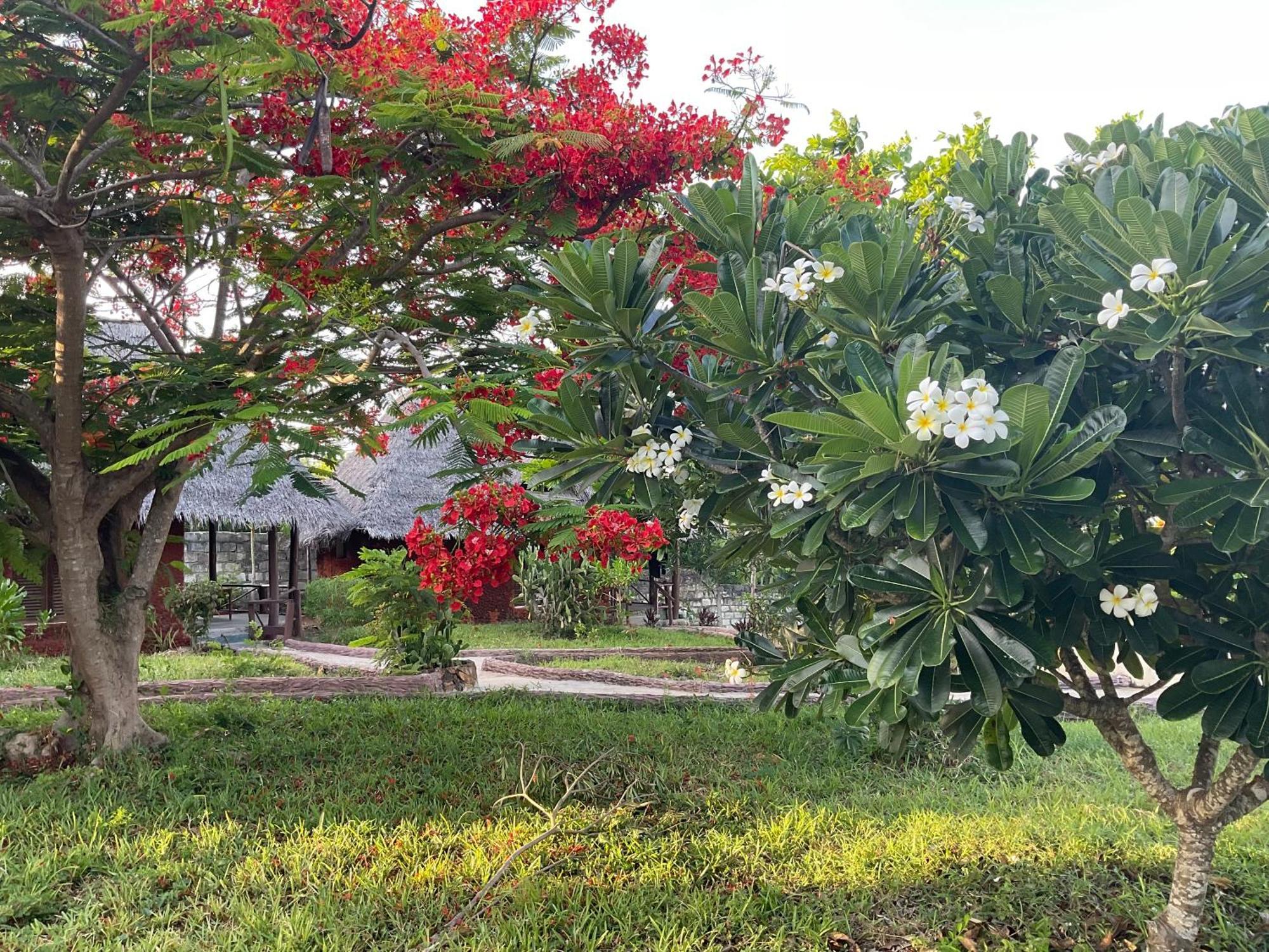 Zanzi Rest Bungalow Nungwi Kültér fotó