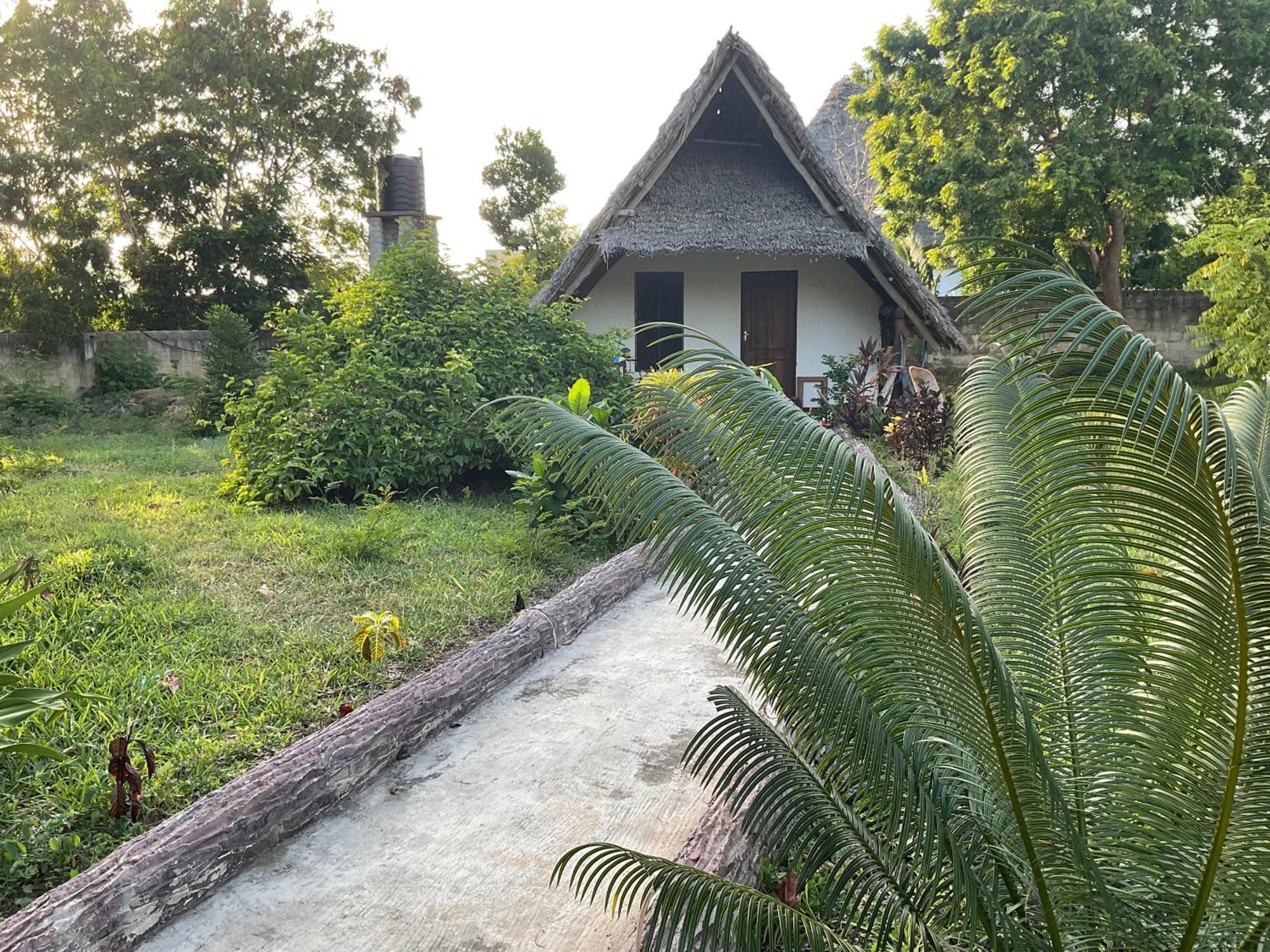 Zanzi Rest Bungalow Nungwi Kültér fotó
