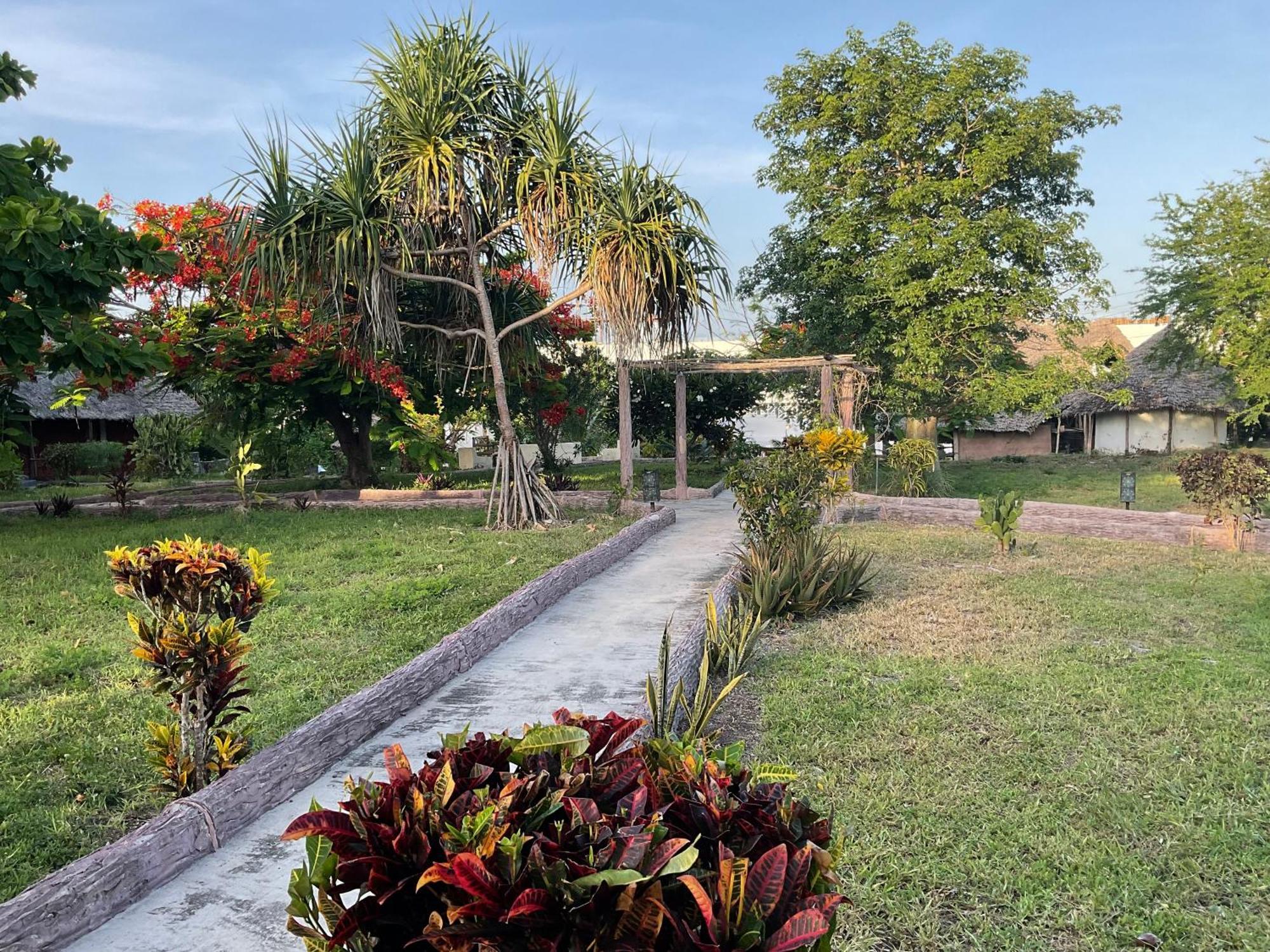 Zanzi Rest Bungalow Nungwi Kültér fotó