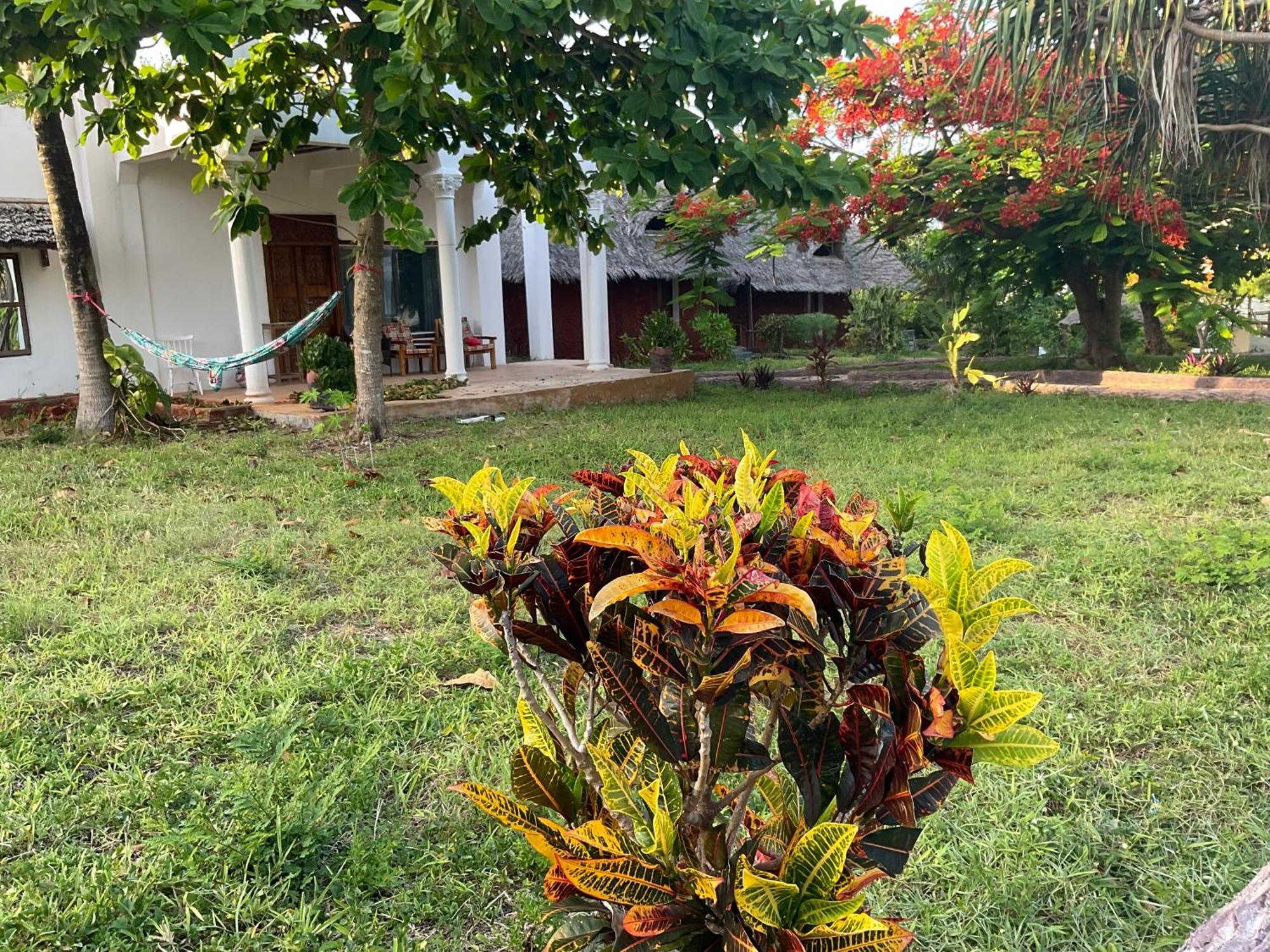 Zanzi Rest Bungalow Nungwi Kültér fotó
