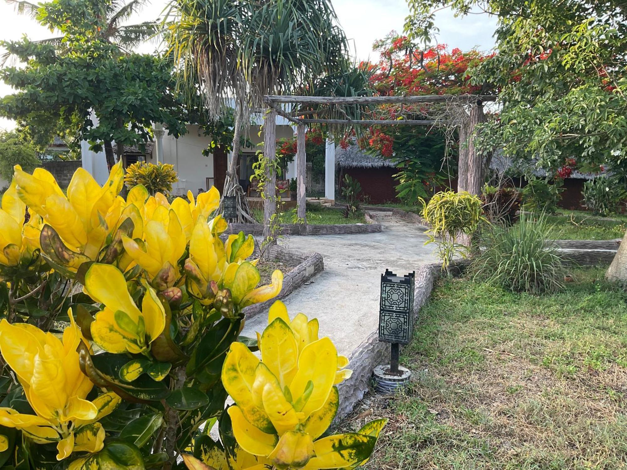 Zanzi Rest Bungalow Nungwi Kültér fotó
