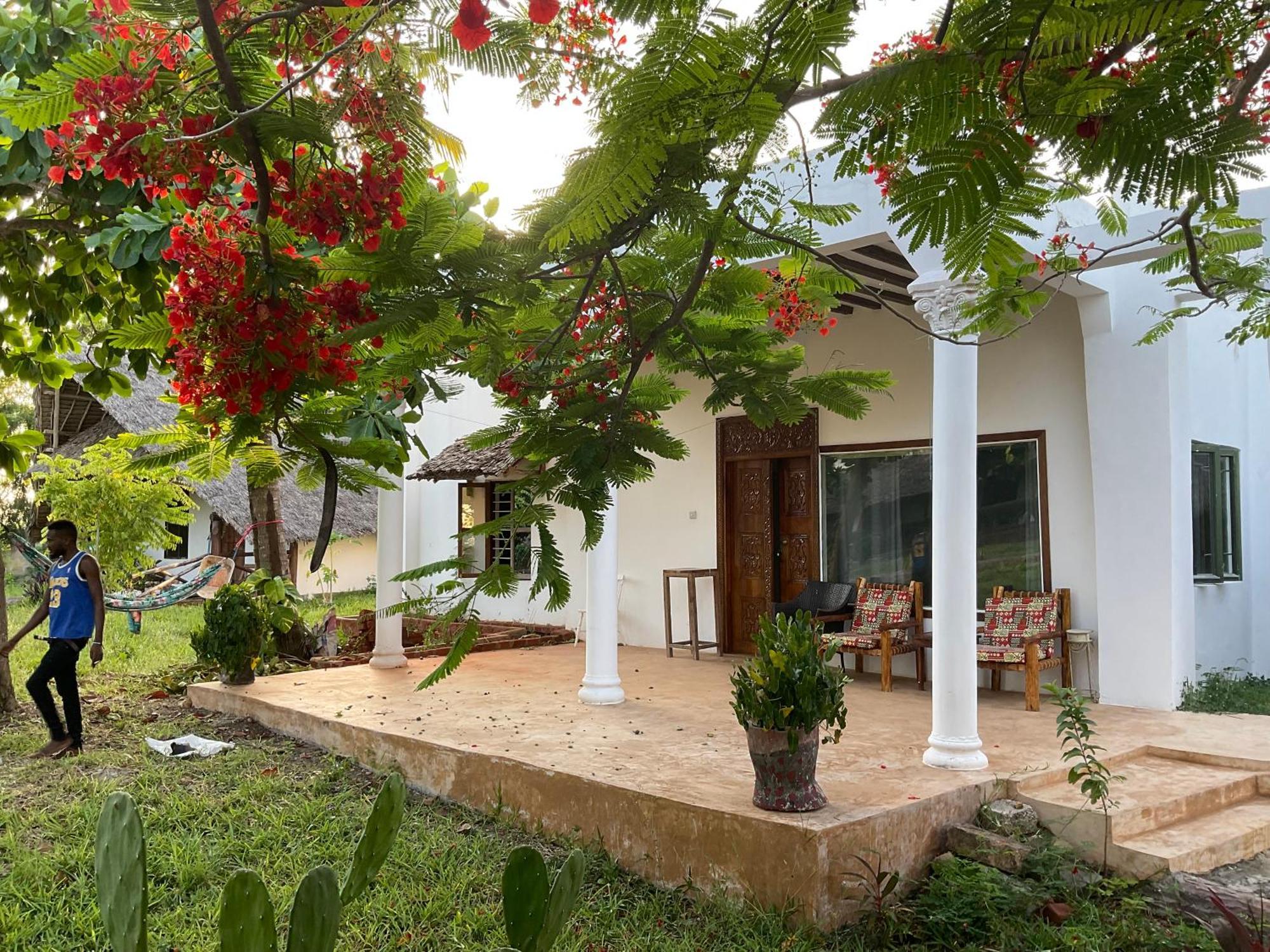 Zanzi Rest Bungalow Nungwi Kültér fotó