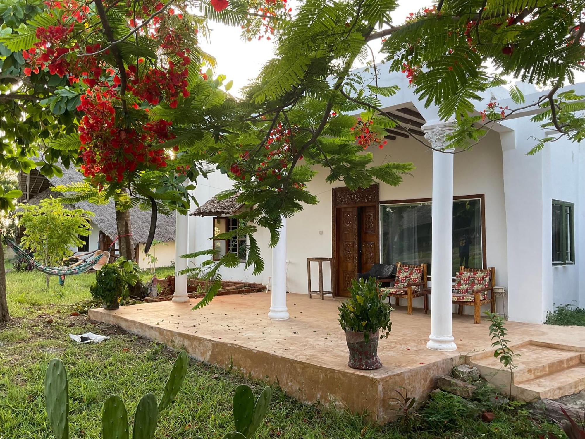 Zanzi Rest Bungalow Nungwi Kültér fotó