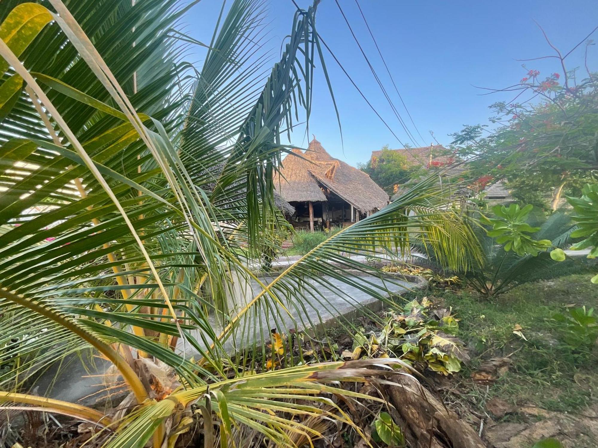 Zanzi Rest Bungalow Nungwi Kültér fotó