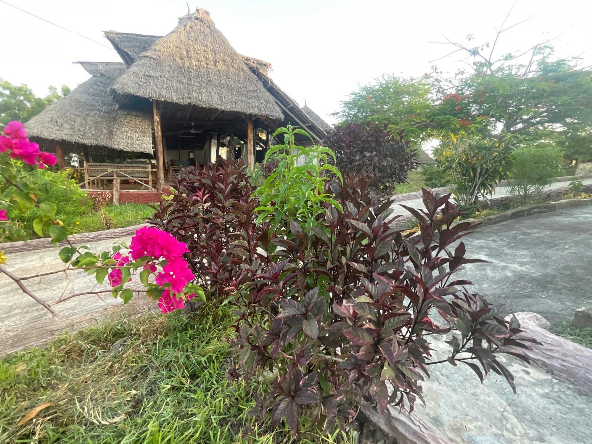 Zanzi Rest Bungalow Nungwi Kültér fotó