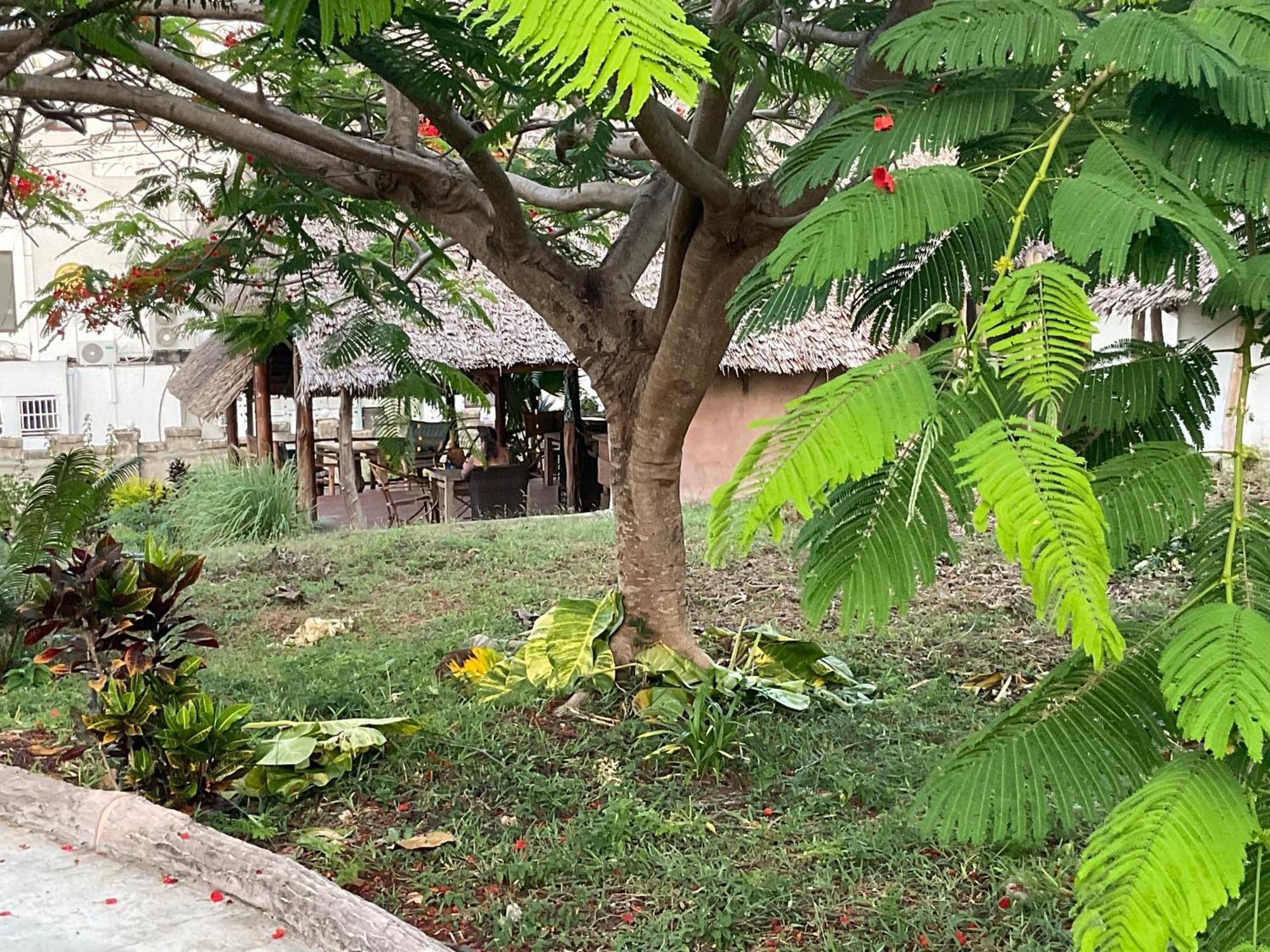 Zanzi Rest Bungalow Nungwi Kültér fotó