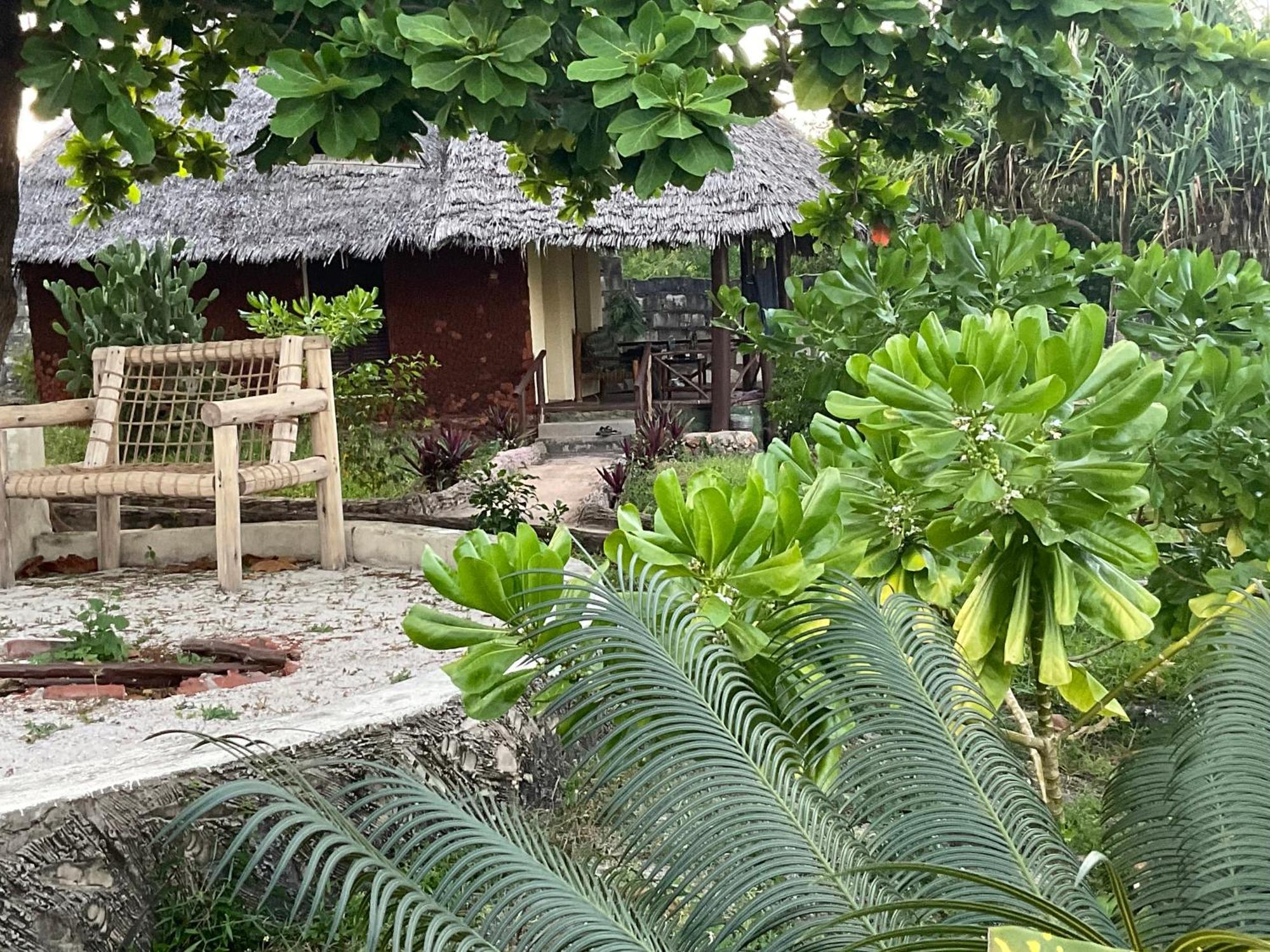 Zanzi Rest Bungalow Nungwi Kültér fotó