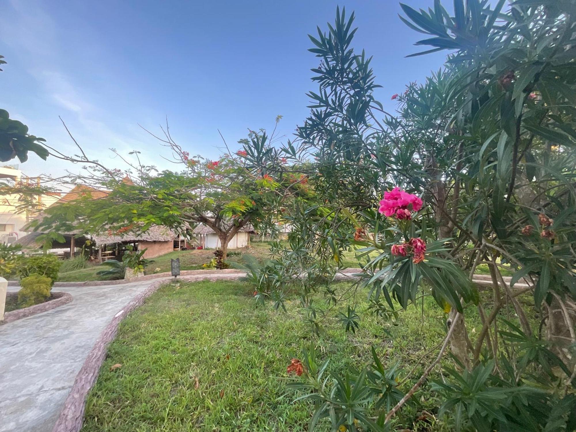 Zanzi Rest Bungalow Nungwi Kültér fotó