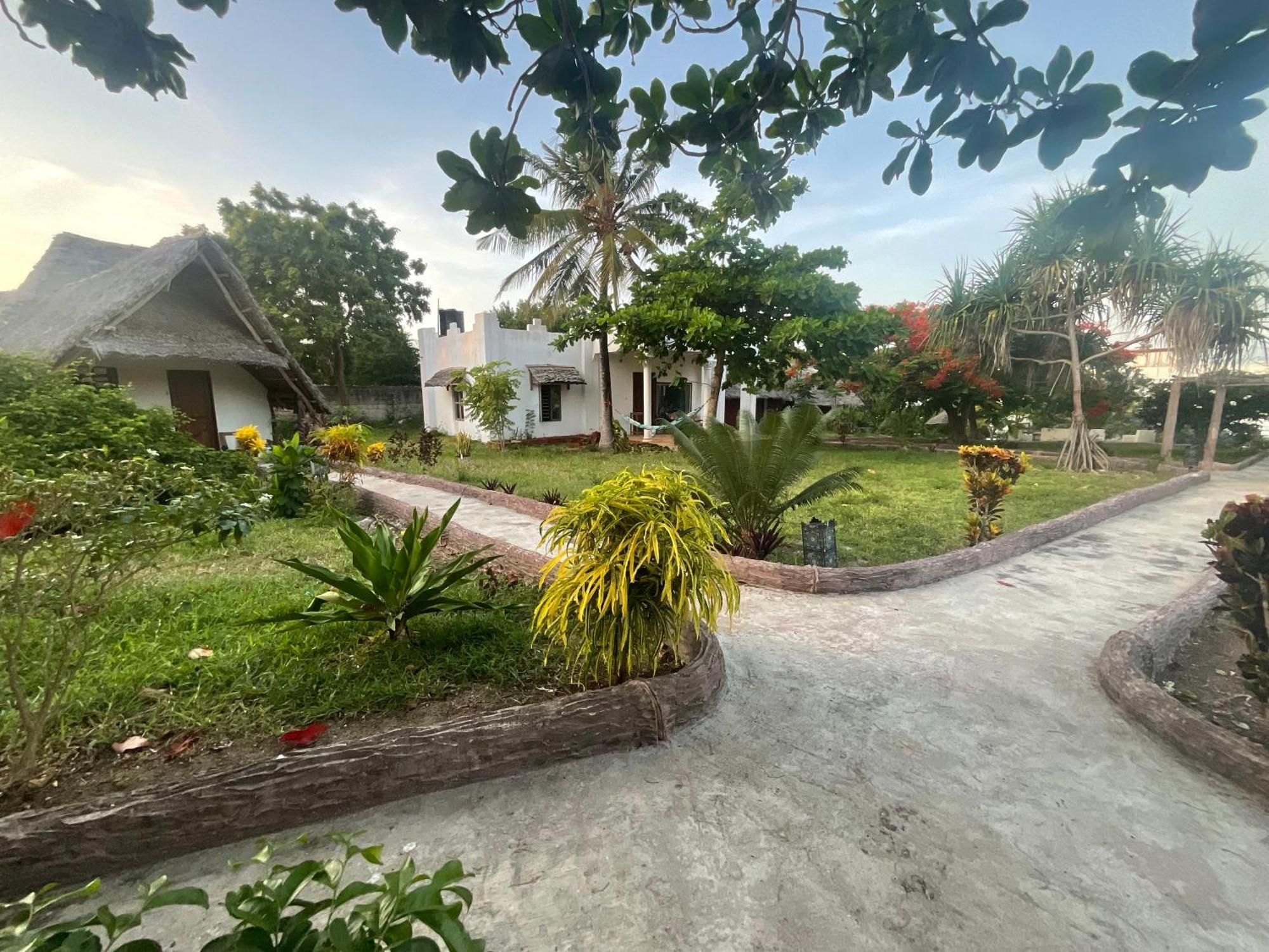 Zanzi Rest Bungalow Nungwi Kültér fotó