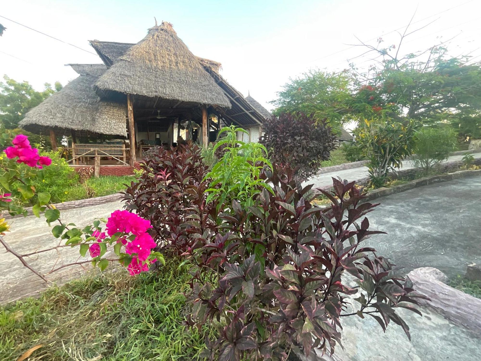 Zanzi Rest Bungalow Nungwi Kültér fotó